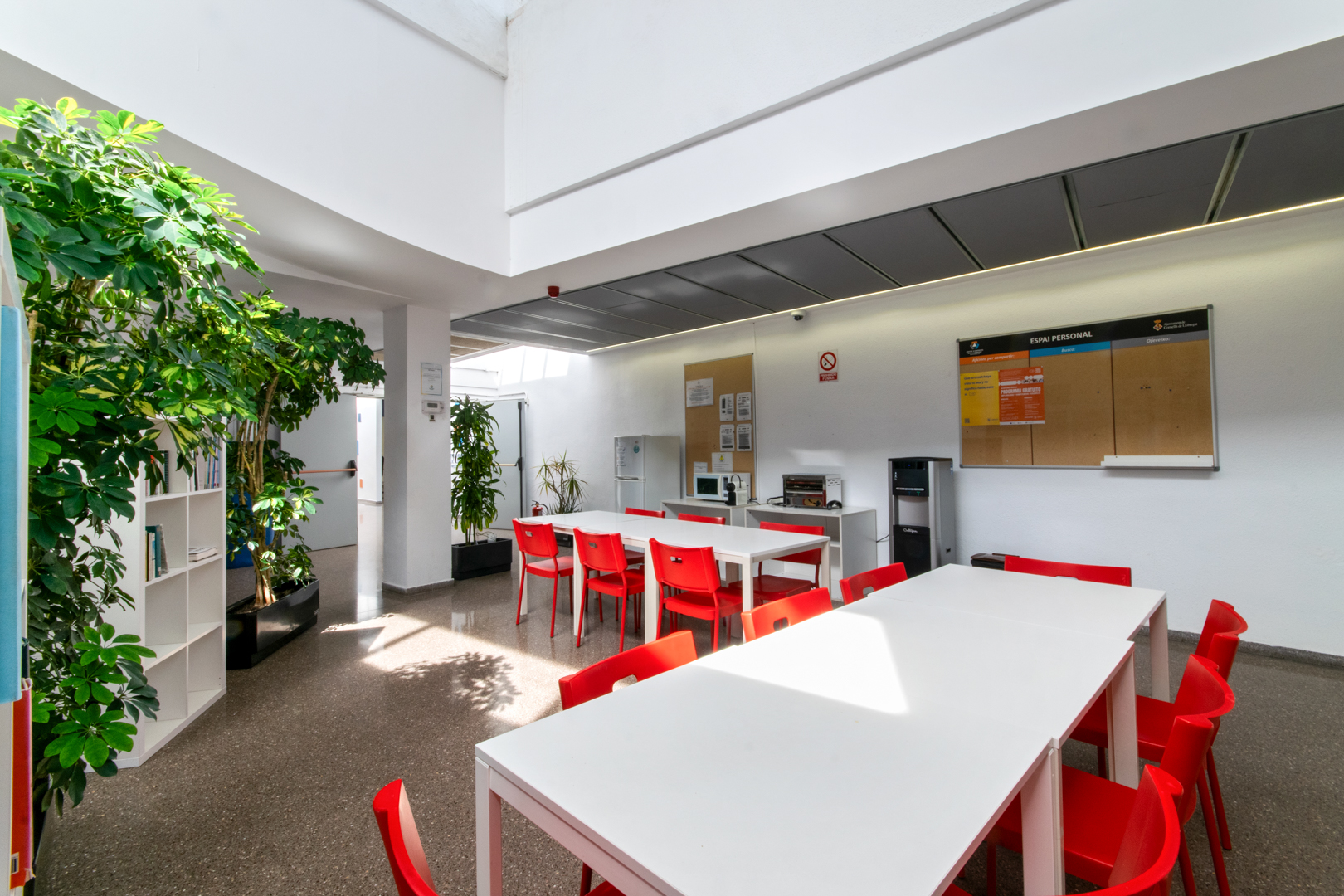 ProCornella_Tirso de Molina 36, Cornellà de Llobregat_38